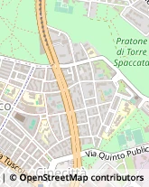 Via Guido Zanobini, 9,00175Roma