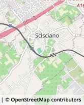 Via S. Borzillo, 15,80030Scisciano