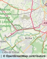 Viale dei Romagnoli, 768,00119Roma