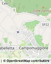 Aziende Agricole,05100Terni