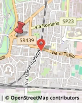 Viale Luigi Cadorna, 50,55100Lucca