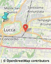 Trasporto Pubblico,55100Lucca