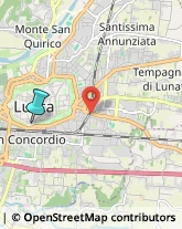 Vendite per Corrispondenza,55100Lucca