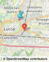 Assicurazioni,55100Lucca