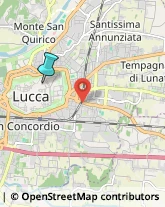 Associazioni Sindacali,55100Lucca