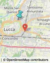 Assicurazioni,55100Lucca