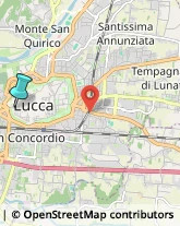 Trasporto Pubblico,55100Lucca