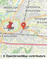 Via della Polveriera, 9,55100Lucca