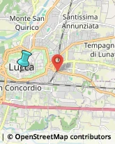 Assicurazioni,55100Lucca