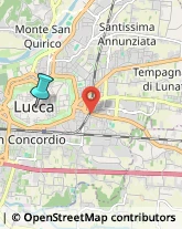 Assicurazioni,55100Lucca