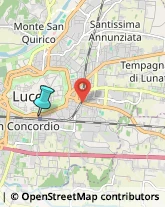 Trasporto Pubblico,55100Lucca