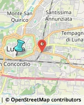 Trasporto Pubblico,55100Lucca