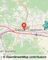 Comuni e Servizi Comunali,55016Lucca