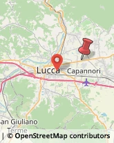 Via Pesciatina, 143,55012Capannori