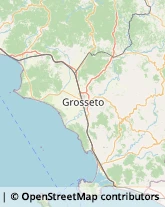 Associazioni ed Istituti di Previdenza ed Assistenza,58043Grosseto