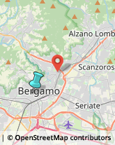 Pollame, Conigli e Selvaggina - Dettaglio,24122Bergamo