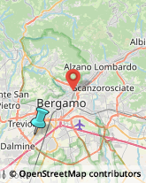 Pollame, Conigli e Selvaggina - Dettaglio,24040Bergamo