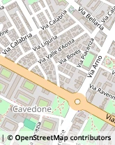 Via Cavedone, 6/A,40139Bologna