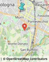 Chirurgia Plastica - Medici Specialisti,40125Bologna