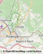 Legna da ardere,50126Firenze