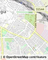 Via Ruggiero Grieco, 37/C,71121Foggia