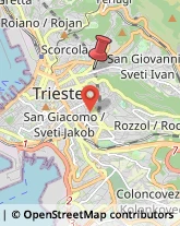 Via Pietro Kandler, 15,34126Trieste