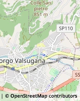 Via per Telve, 4,38051Borgo Valsugana