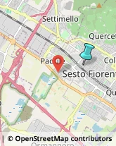 Palestre e Centri Fitness,50019Firenze