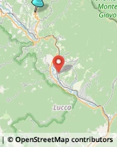 Comuni e Servizi Comunali,55033Lucca