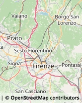 Agenzie Ippiche e Scommesse,50055Firenze