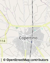 Articoli per Ortopedia,73043Lecce