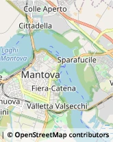 Feste - Organizzazione e Servizi,46100Mantova