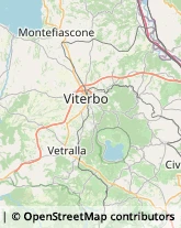 Notai Viterbo,01100Viterbo