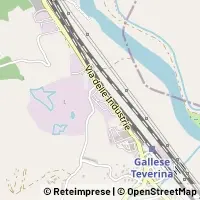 Map Gallese