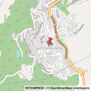 Mappa Via Roma, 123, 87058 Spezzano della Sila, Cosenza (Calabria)