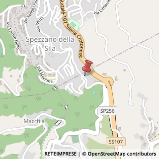 Mappa Via Roma, 253, 87058 Spezzano della Sila, Cosenza (Calabria)