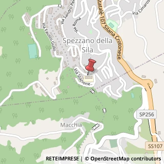 Mappa Via Stazione, 59, 87058 Spezzano della Sila, Cosenza (Calabria)