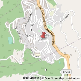 Mappa Via S. Nicola, 88A, 87058 Spezzano della Sila, Cosenza (Calabria)