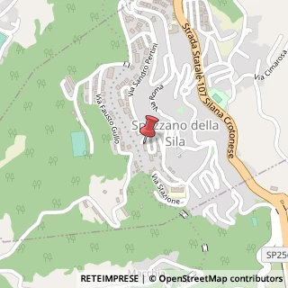 Mappa Via A. de Gasperi, 45, 87058 Spezzano della Sila, Cosenza (Calabria)