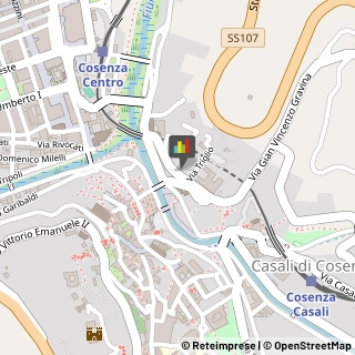 Traduttori ed Interpreti Cosenza,87100Cosenza