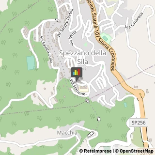 Medie - Scuole Private Spezzano della Sila,87058Cosenza