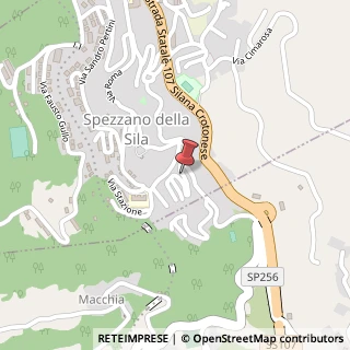 Mappa Via G. Saragat, 136, 87058 Spezzano della Sila, Cosenza (Calabria)