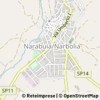 Map Narbolia