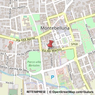 Mappa Via dei Martini, 20, 31044 Montebelluna, Treviso (Veneto)