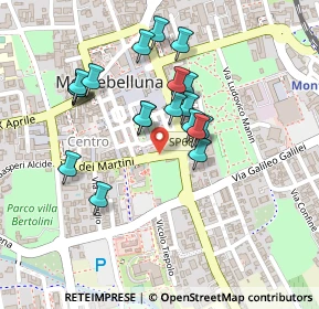 Mappa Via P. Veronese, 31044 Montebelluna TV, Italia (0.2015)