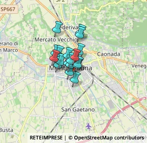 Mappa Via P. Veronese, 31044 Montebelluna TV, Italia (0.81421)