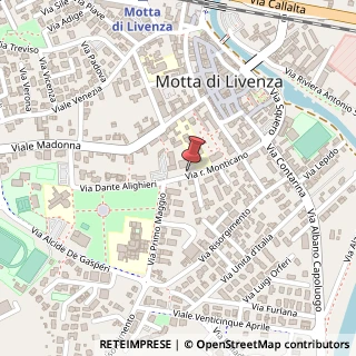 Mappa Via Riva Monticano, 18, 31045 Motta di Livenza, Treviso (Veneto)