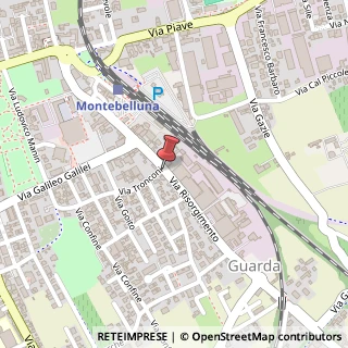 Mappa Via Risorgimento, 74, 31044 Montebelluna, Treviso (Veneto)