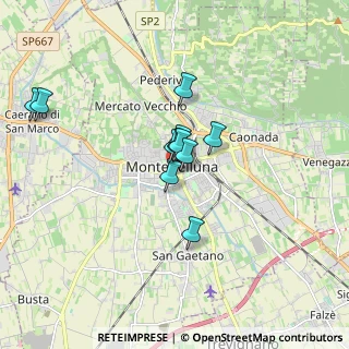 Mappa Corso Mazzini, 31044 Montebelluna TV, Italia (1.24545)