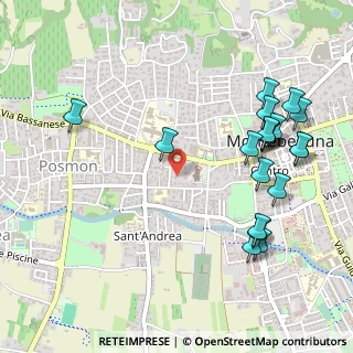 Mappa Via San Pio X, 31044 Montebelluna TV, Italia (0.5955)